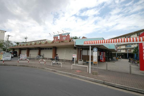 Supermarket. Tajima up to 200m