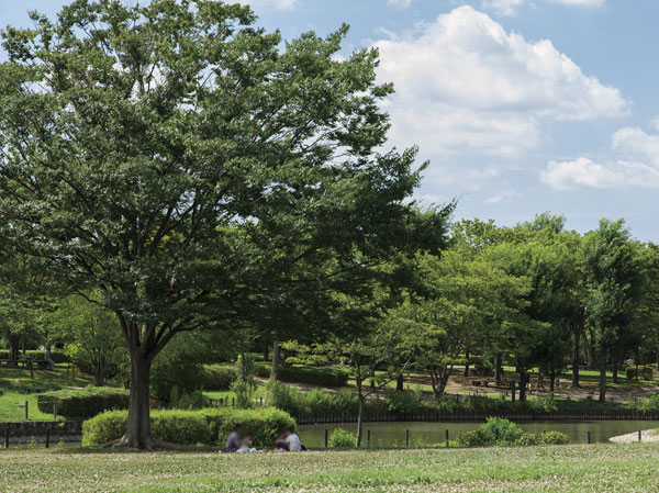 Surrounding environment. We see the park (about 5.23km)