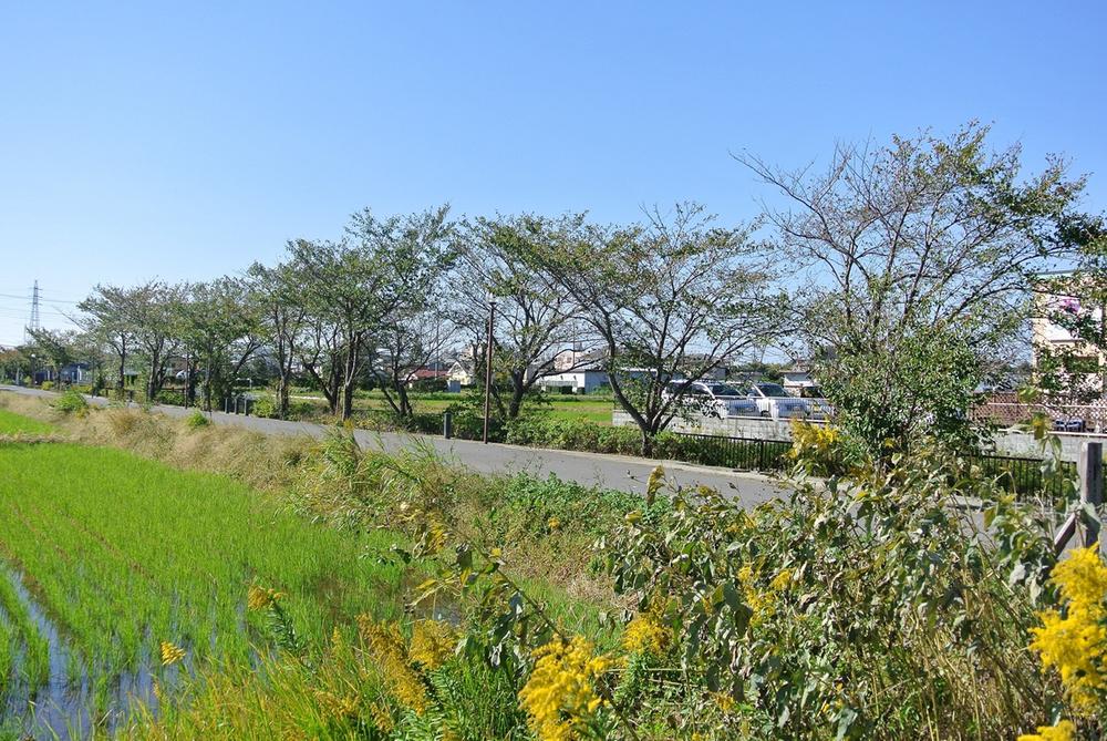 View photos from the dwelling unit. Local (11 May 2013) Shooting