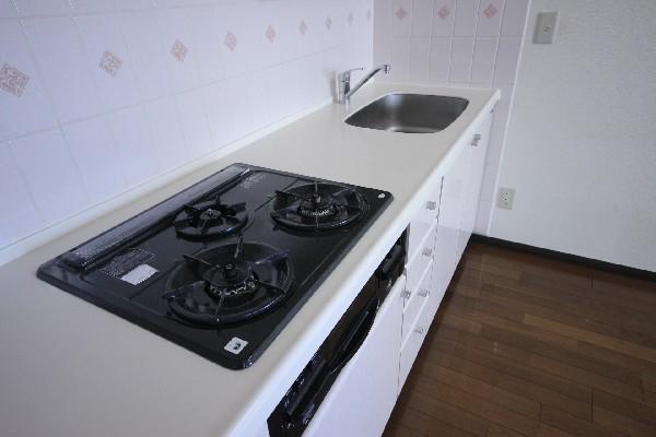 Kitchen. 3-burner stove in the kitchen