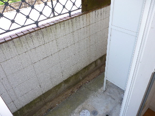 Other. Terrace space