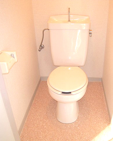 Toilet. Toilet clean impression