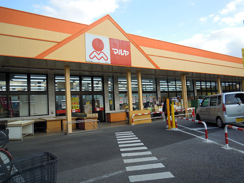 Other. Super Ekidori