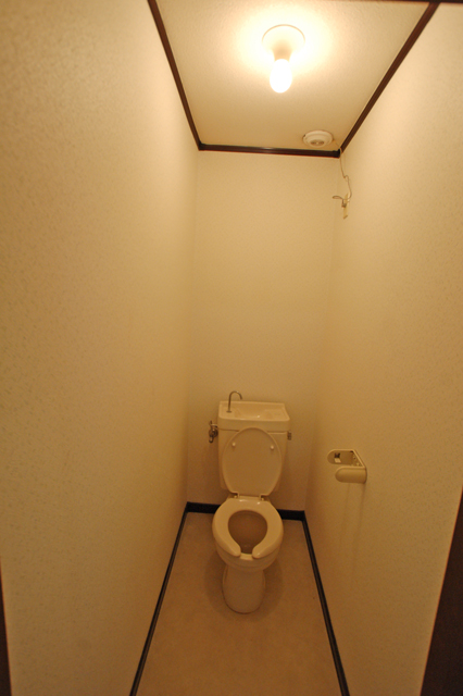 Toilet. Toilet clean impression