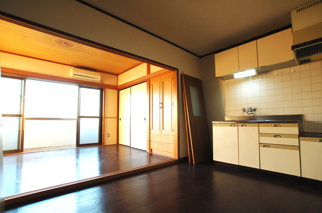 Living and room. Plug is plenty of light from the south-facing balcony