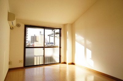 Living and room. Bright south-facing