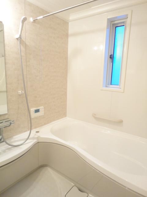 Bathroom. Indoor (10 May 2013) Shooting