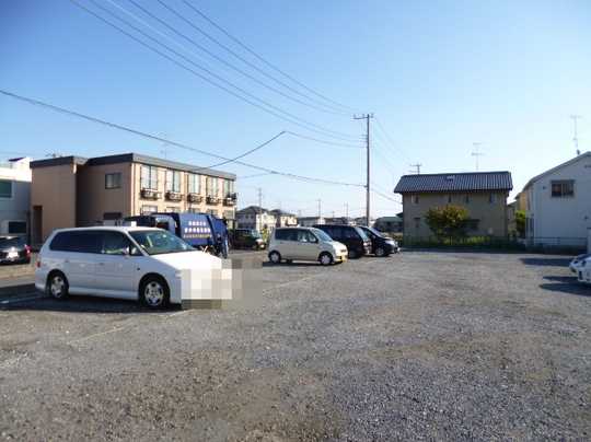 Local land photo. Appearance 1