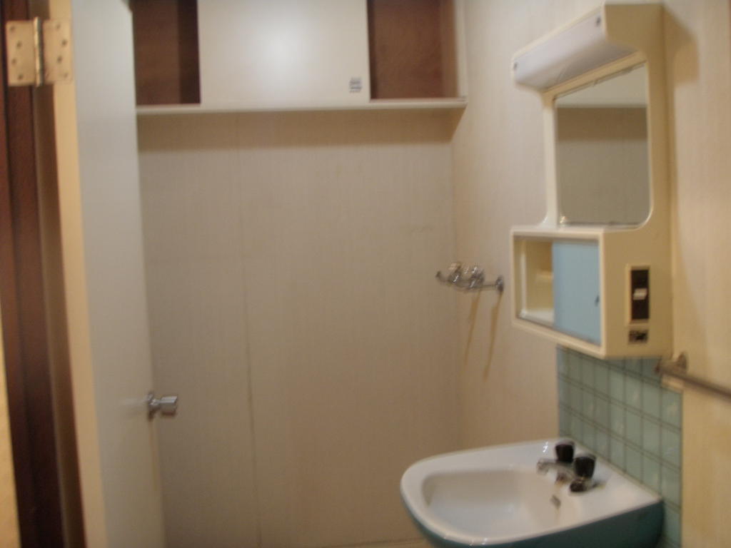 Washroom. Independent wash basin