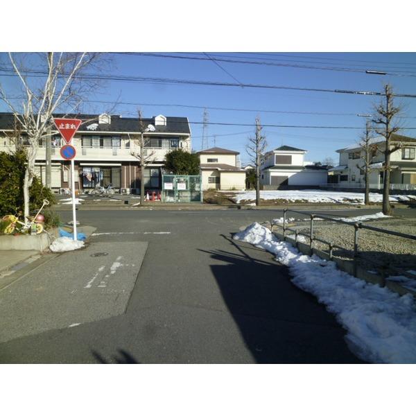 Local photos, including front road