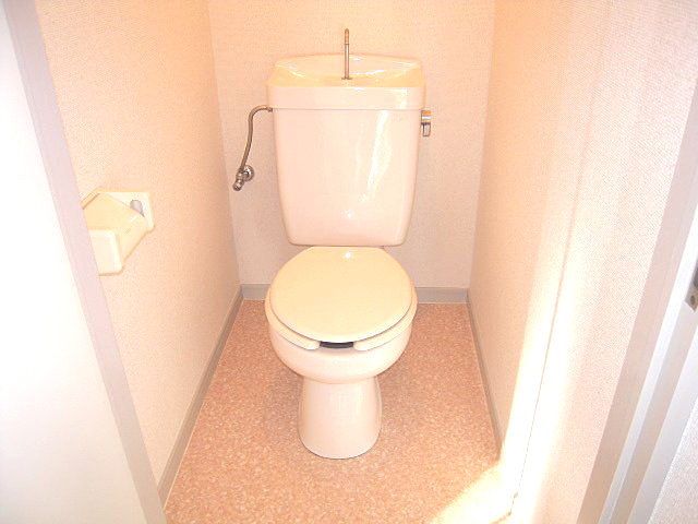 Toilet. Toilet clean impression