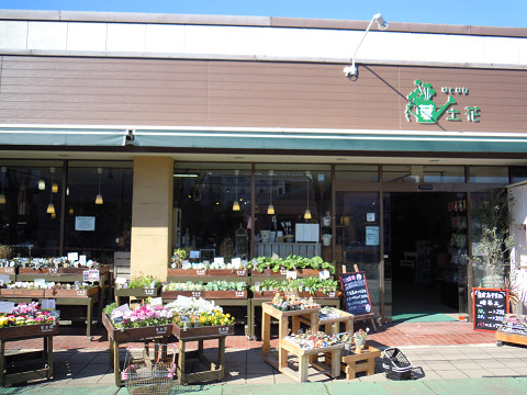 Other. Surrounding environment Florist's