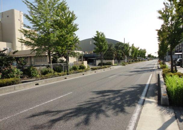 Local photos, including front road