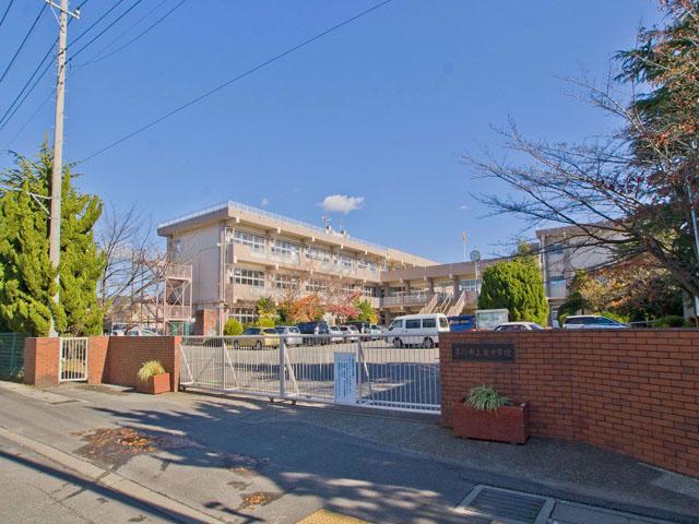 Junior high school. South Junior High School