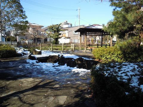 Other. Coercive third park