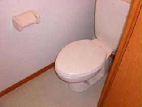 Toilet. Another separate type the bath. 