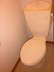 Toilet. Another separate type the bath. 