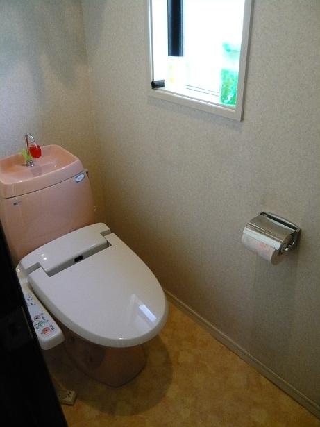 Toilet. Indoor (10 May 2013) Shooting