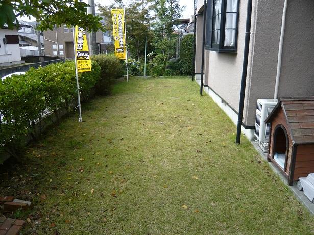 Garden. Local (10 May 2013) Shooting