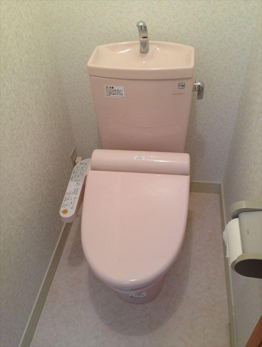 Toilet. Bidet with toilet