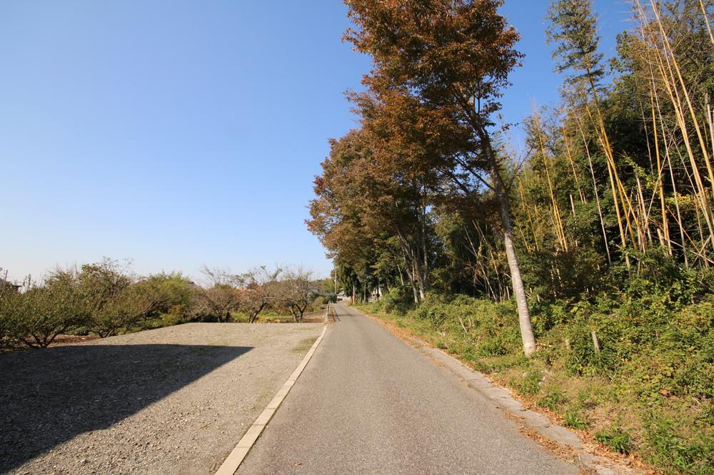 Other local. As if the entrance to the house looking at the natural rich photo, , ,