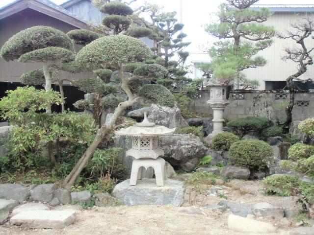 Garden. Local (May 2013) Shooting