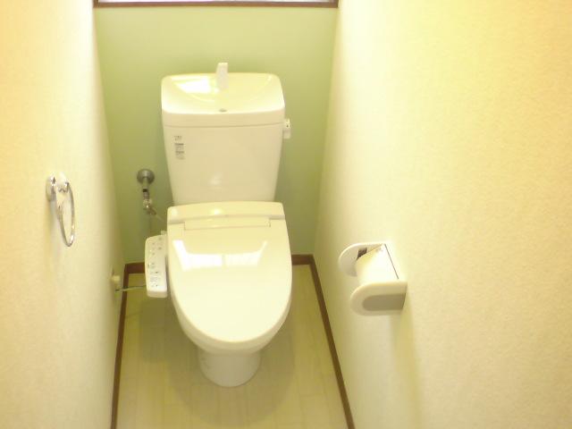 Toilet. Local (July 2013) Shooting