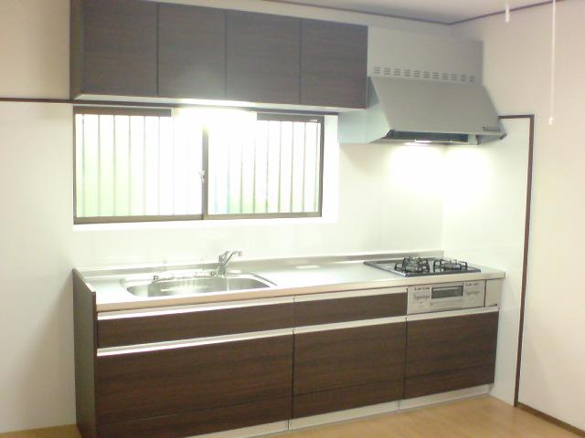 Kitchen. Local (July 2013) Shooting