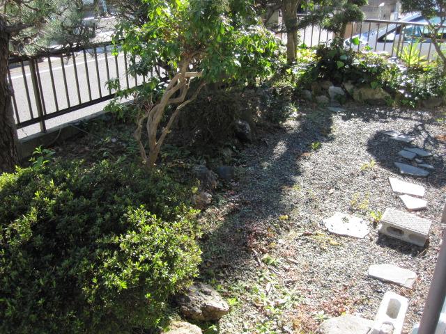 Garden. The garden has also been neatly pruned. 