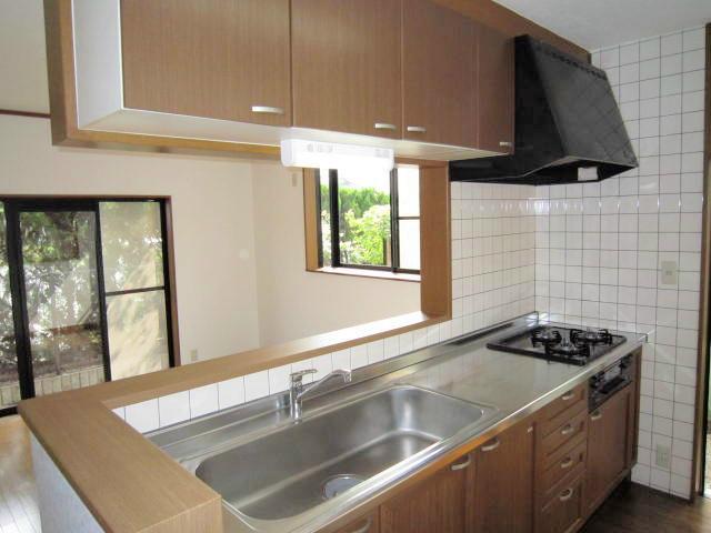 Kitchen. Face-to-face kitchen