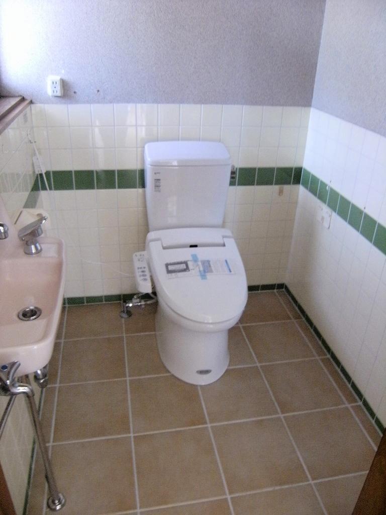 Toilet. Indoor (July 2012) shooting