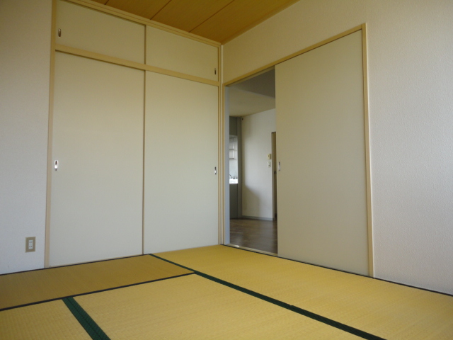 Other room space. Bright and beautiful Japanese-style room