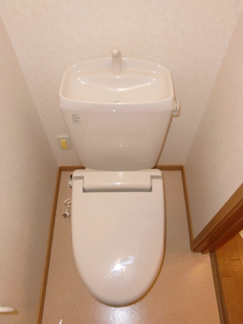Toilet. Heating toilet seat, Always Pokkapoka