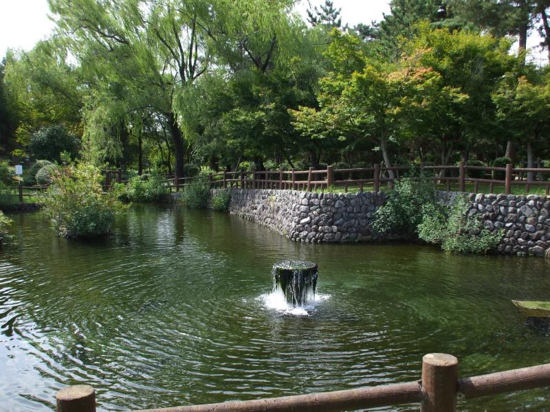 park. 1300m to the forest park of the pigeon