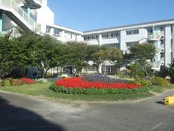 Other. - Site Hill Elementary School