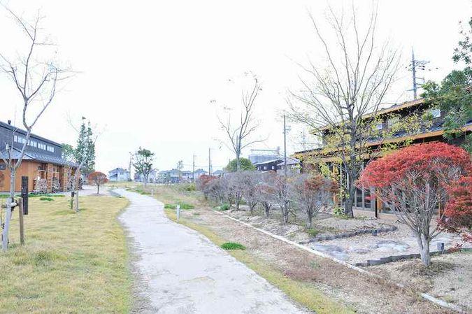 Other local. People nor creatures, Live vividly boat tree eco-village!