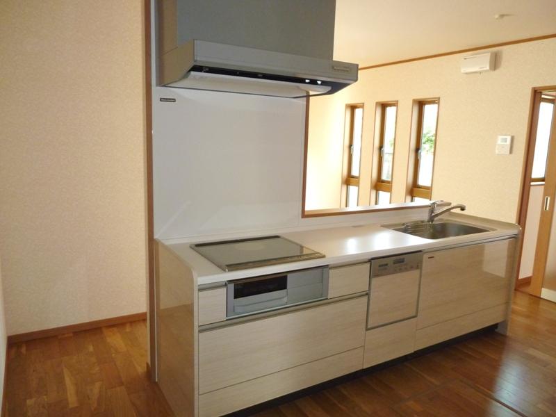 Kitchen. Indoor (11 May 2013) Shooting