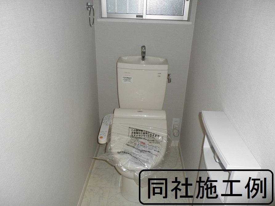 Toilet. The company construction cases