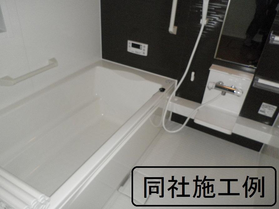 Bathroom. The company construction cases