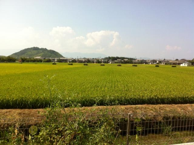 Garden. view ・ Ventilation is good!  ☆ 
