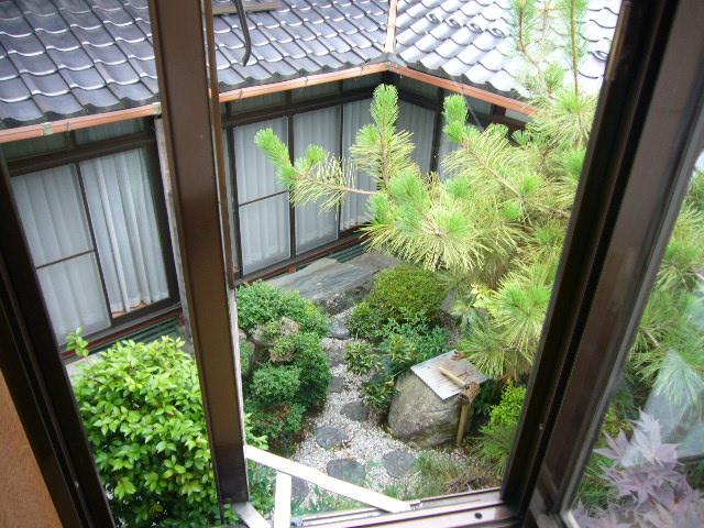 Garden. Indoor (July 2013) Shooting