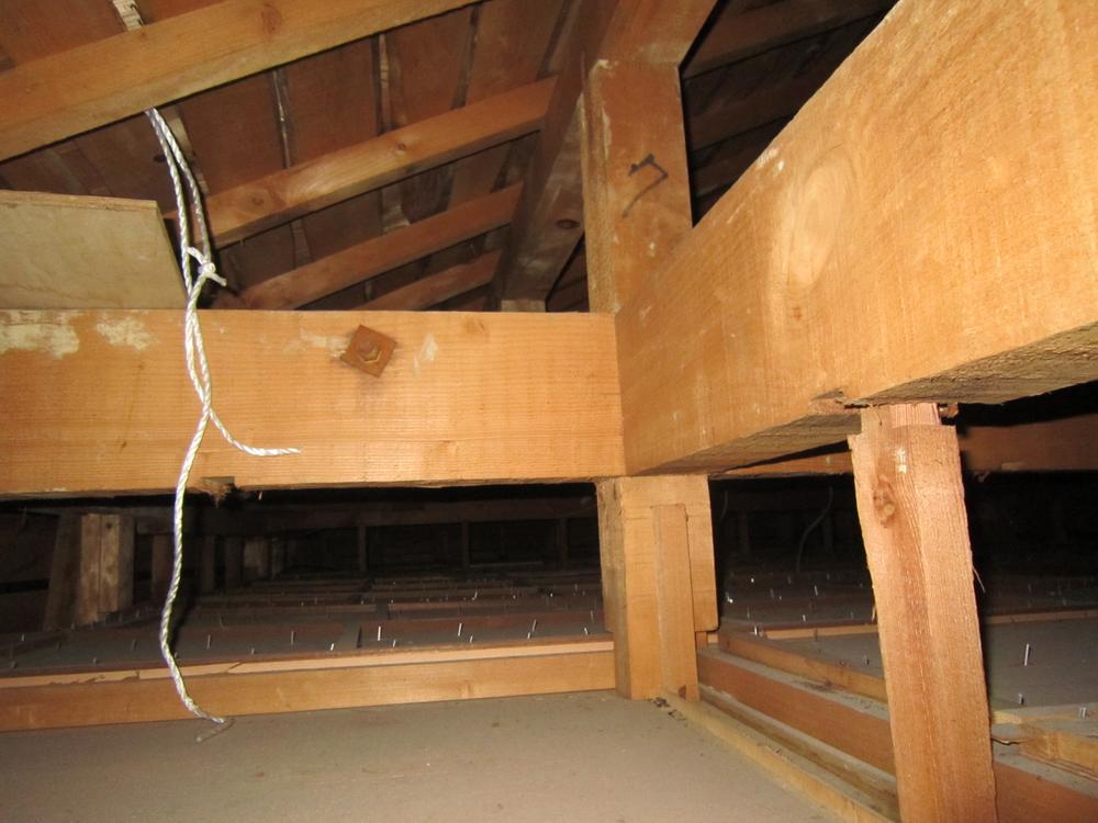 Other. Local (11 May 2012) shooting