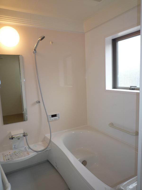 Bathroom. Indoor (March 2012) shooting