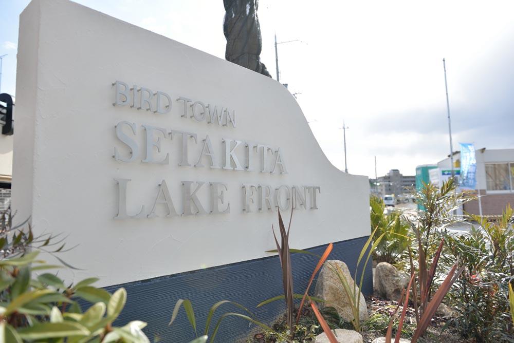 Building plan example (introspection photo). It was established a monument to the park entrance.