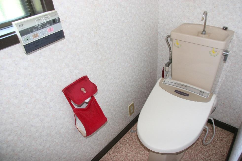 Toilet. First floor toilet