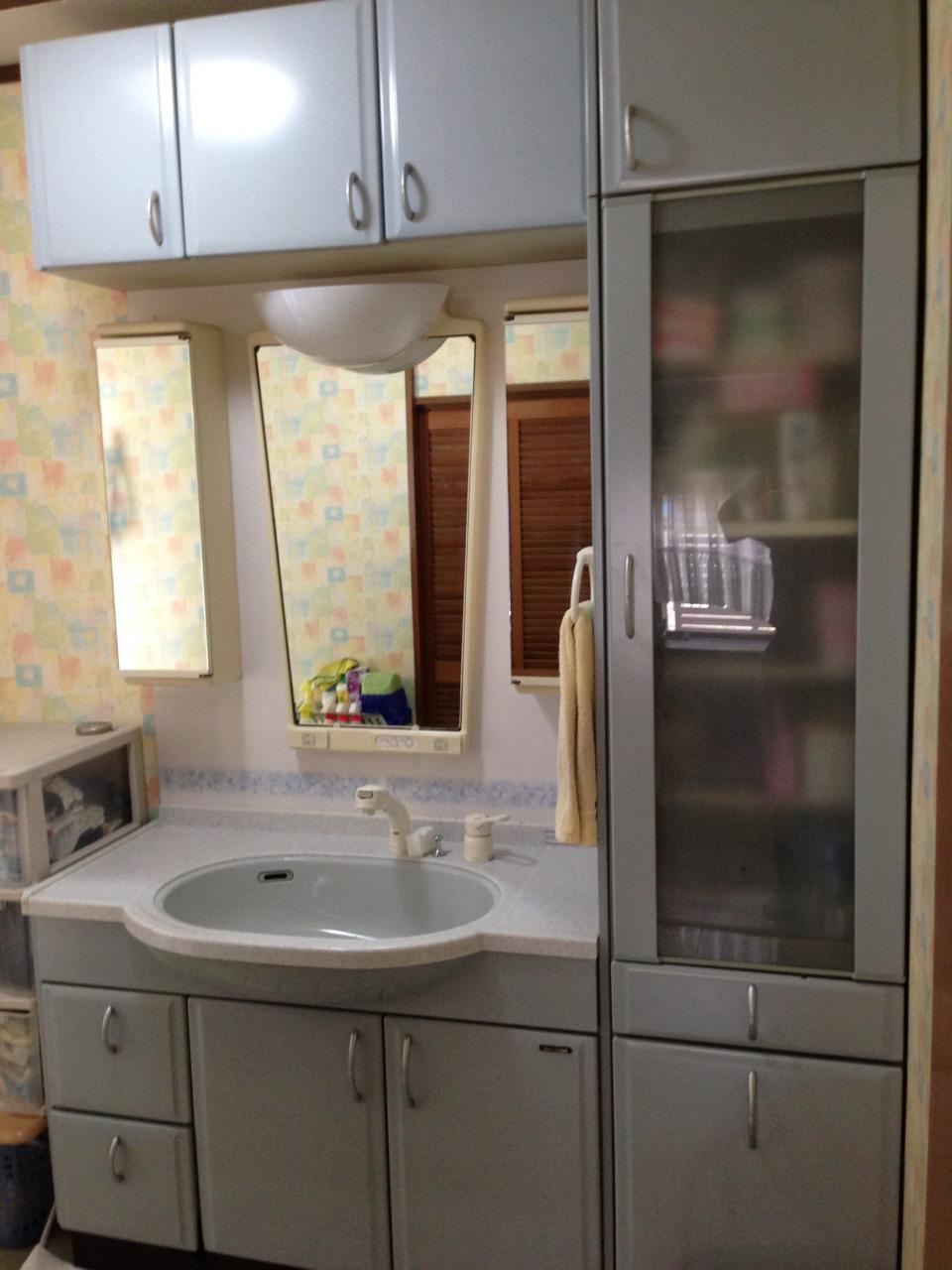 Wash basin, toilet. Indoor (July 2013) Shooting