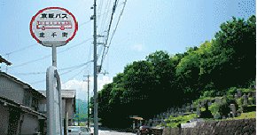 Other Environmental Photo. 100m to the "North WASH" ​​bus stop