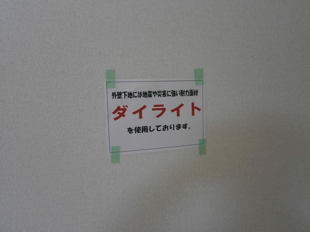 Other introspection. Indoor (12 May 2013) Shooting