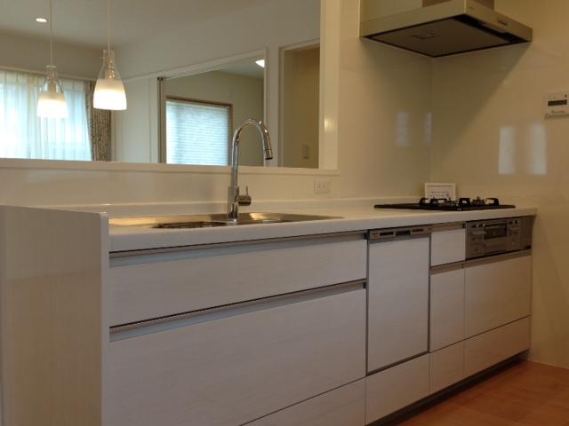 Kitchen. Indoor (10 May 2013) Shooting