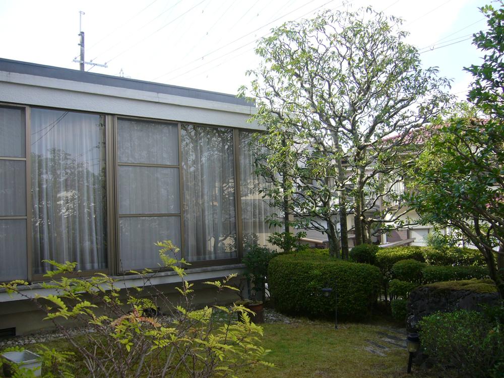 Local appearance photo. Local (September 2011) Shooting